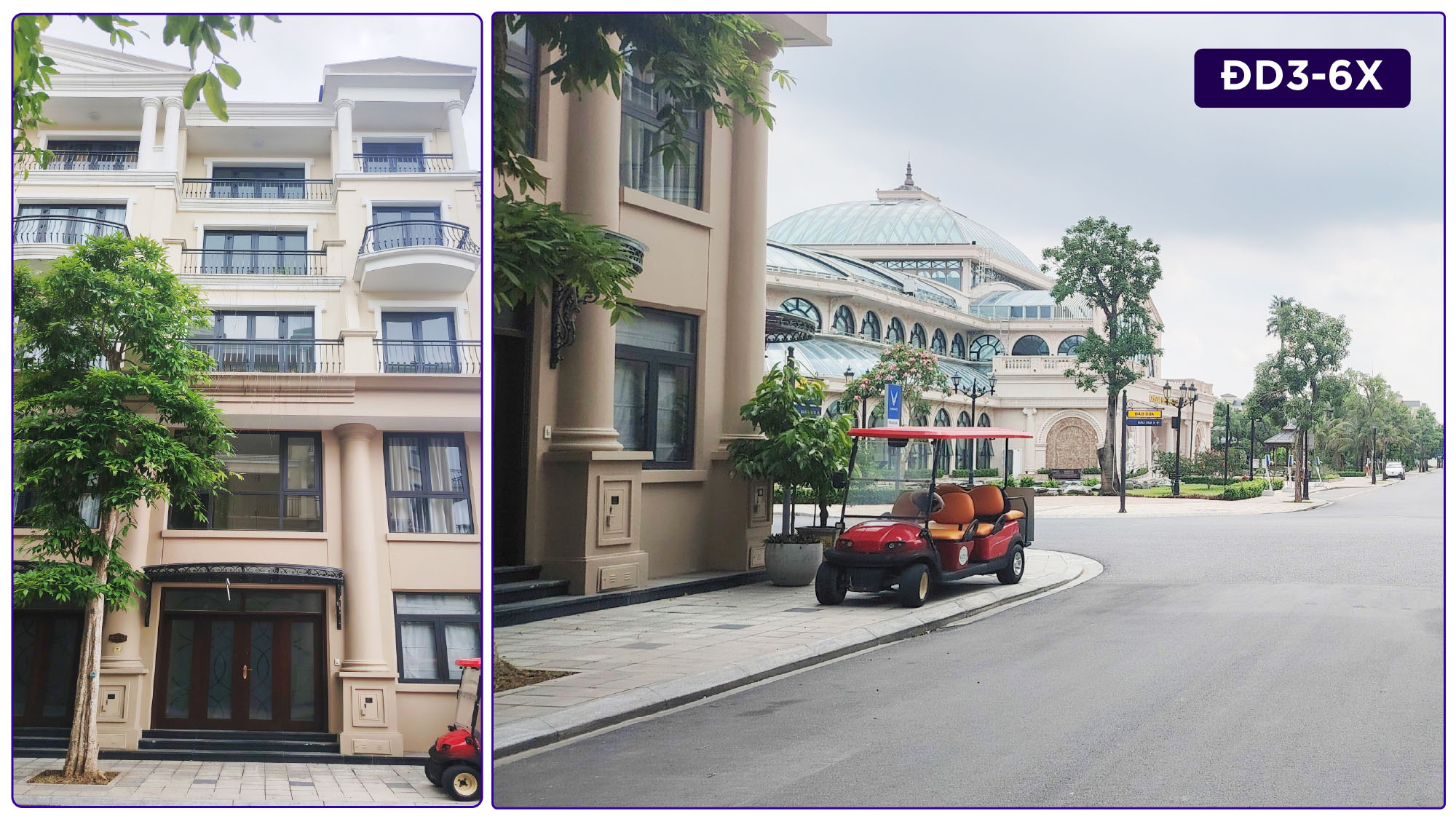 San Hô ĐD3-65 Ocean Park 2